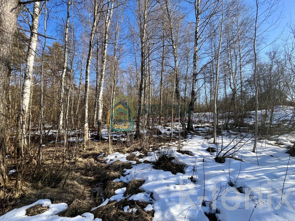 участок 11 сот